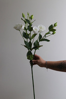 Eustoma White, gałązka sztucznej eustomy, 1szt. dł.75cm