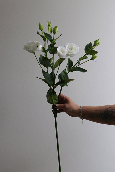 Eustoma White, gałązka sztucznej eustomy, 1szt. dł.75cm