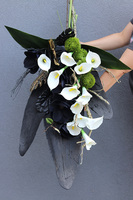 Angie Black, bukiet nagrobny z kallami premium, dł.75cm