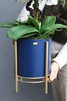 Neomi Small, sztuczny storczyk w niebieskiej donicy na stojaku