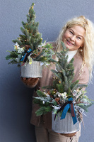 Deluxe Silver S, choinka świąteczna w donicy LED