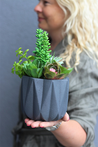 Nimelia Moderno, dekoracja sukulenty w grafitowej donicy