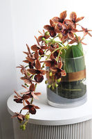 Granada Thai Glassier, miedziany storczyk w szkle