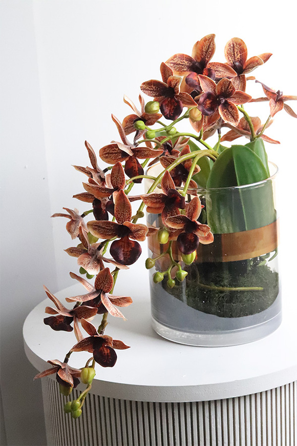 Granada Thai Glassier, miedziany storczyk w szkle