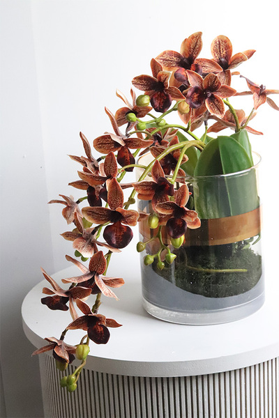 Granada Thai Glassier, miedziany storczyk w szkle