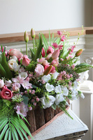 Refrada, wiosenna kompozycja w skrzynce