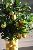 Sicilia Lemon, kompozycja kwiatowa w wazonie