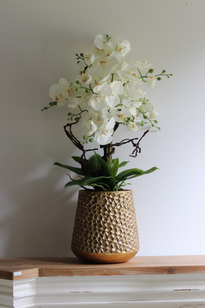 Goldenario Vase, biały storczyk w złotej donicy