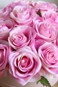 Pink Home Roses 2, różany flowerbox, wym.15x25cm 