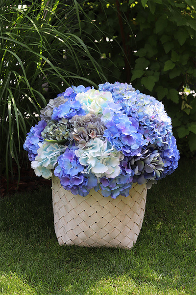 Fortuna Blue, hortensje w plecionym koszu, wys.54cm 