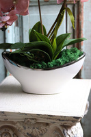 Fortuna, elegancki, pudrowy storczyk w białej donicy glamour, wys.56cm