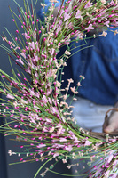 Pink Calina Big, wiosenny wianek na drzwi