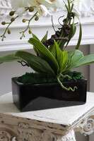 Banerra Leas, sztuczny storczyk w prostokątnej donicy