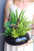 Suculenta Black, kompozycja sukulenty w okrągłej donicy
