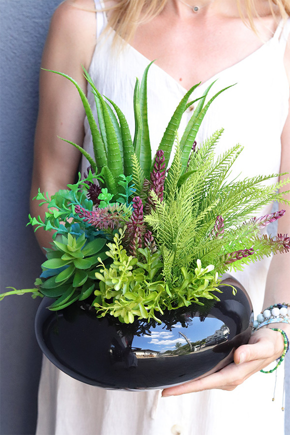 Suculenta Black, kompozycja sukulenty w okrągłej donicy