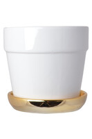 Glamourite, ceramiczna doniczka z podstawką