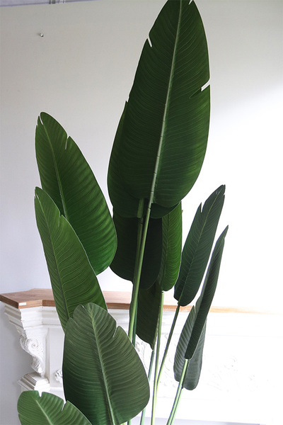 Bananowiec Concrete Bowl, sztuczna roślina w donicy