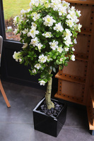 Azalia Fiberglass, sztuczna roślina w czarnej donicy