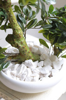 Bonsai Japan White, sztuczna roślina w donicy