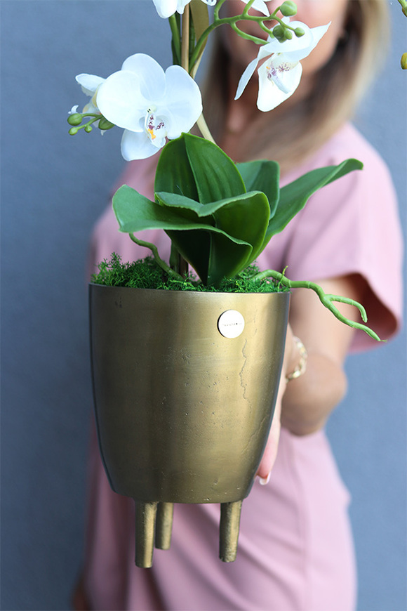 Złota Baśń 2, storczyk w złotej osłonce na nóżkach