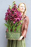 Kalite, nowoczesny sztuczny storczyk, wym.75cm