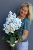 Dortmund, elegancki storczyk w pucharze glamour