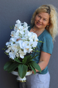 Dortmund, elegancki storczyk w pucharze glamour, wys.53cm 