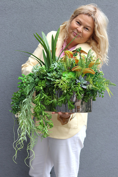 Greenede, kompozycja sukulenty w czarnej donicy, wys.40cm