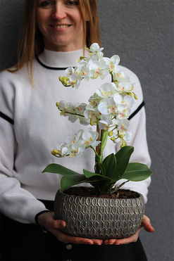 Tyrenta, sztuczny storczyk w ozdobnej donicy, wys.44cm