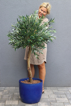 Oliwka Ares Blue, sztuczne drzewko w kobaltowej donicy, wys.147cm