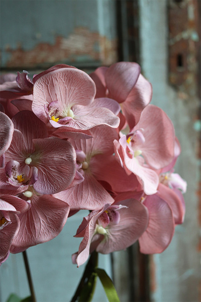 Fortuna, elegancki, pudrowy storczyk w białej donicy glamour, wys.56cm