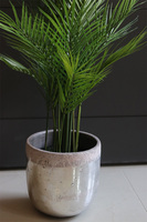 Haiti Silver Deluxe, sztuczna palma w srebrnej donicy