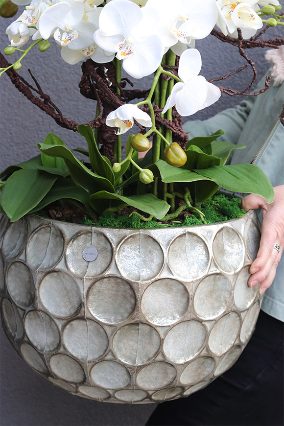 Bellista Silver, sztuczny storczyk w metalowej donicy