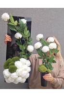 New Design Roses 2, nowoczesny bukiet nagrobny we wkładzie