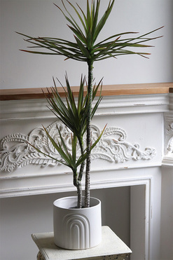 Dracena White Moment, sztuczna roślina w doniczce, wys.105cm 
