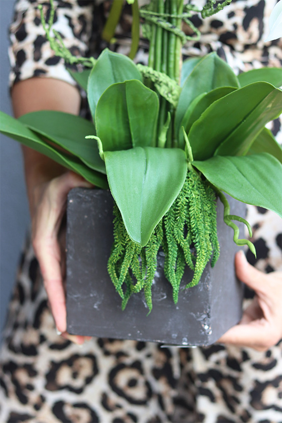 Kleopatra Concrete, sztuczny storczyk w betonowej donicy