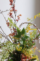 Haru Gold Laos, stroik wiosenny z kurą