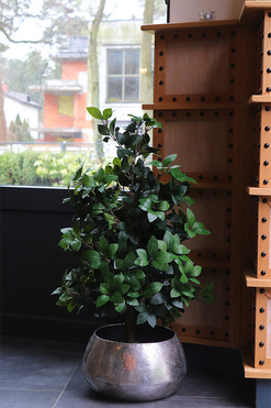 Fikus Formowany Simple Big, sztuczna roślina w donicy, wys.90cm 