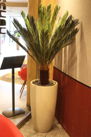 Cykas Ibis Concrete, sztuczna roślina w betonowej donicy