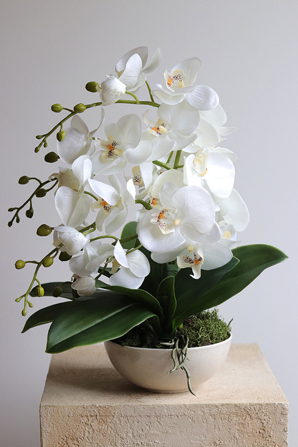 Daria, sztuczny storczyk w białej misie