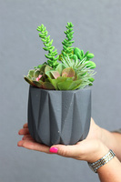 Nimelia Moderno, dekoracja sukulenty w grafitowej donicy