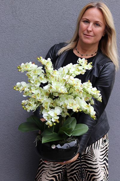 Pistacjowy, wysokiej jakości barwny sztuczny storczyk, wym.50cm