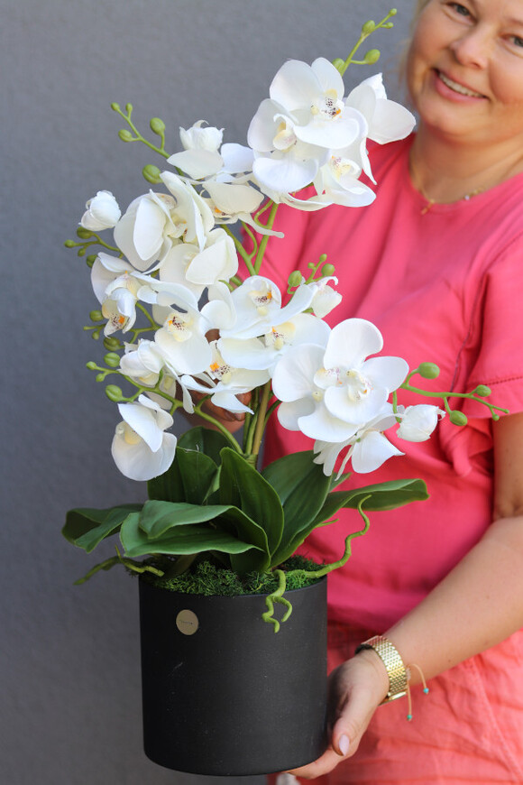 Nera Simple, sztuczny storczyk w ozdobnej donicy