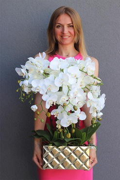 Diamenti Gold, storczyk w złotej donicy wysadzanej kryształami, wys.66cm 