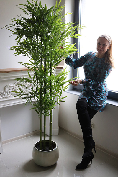 Bambus, sztuczna roślina w osłonce z tworzywa, wys.175cm