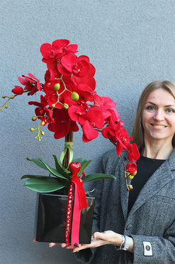 OD RĘKI Red Lips, czerwony storczyk na walentynki, wys.64cm 