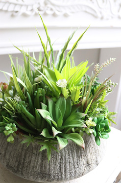 Sukulenty Hefuba, kompozycja w okrągłej donicy, wys.25cm