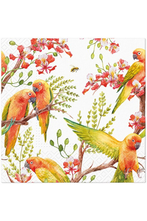 Papugi, serwetki papierowe z nadrukiem