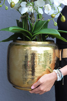 Gold Palazzia Big, sztuczny storczyk w złotej donicy