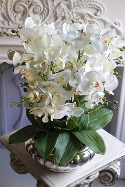 Carrington Silver, elegancki sztuczny storczyk,wys.52cm  